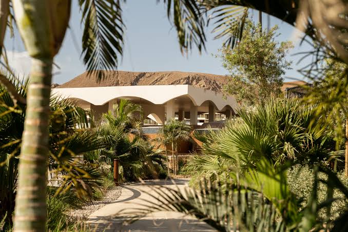 Digital Detox Retreats